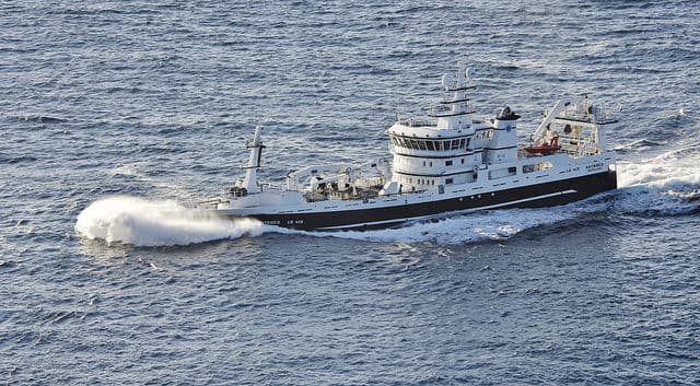 Fish and ships