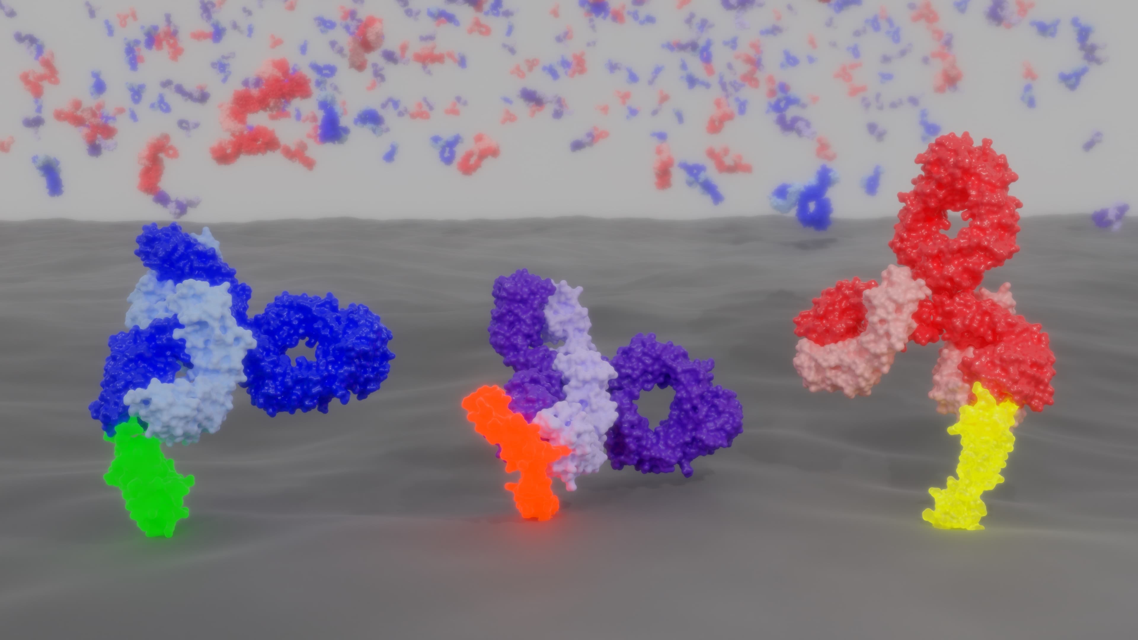 Low and Mighty: How Low-Affinity Antibodies Boost Cancer Immunotherapy