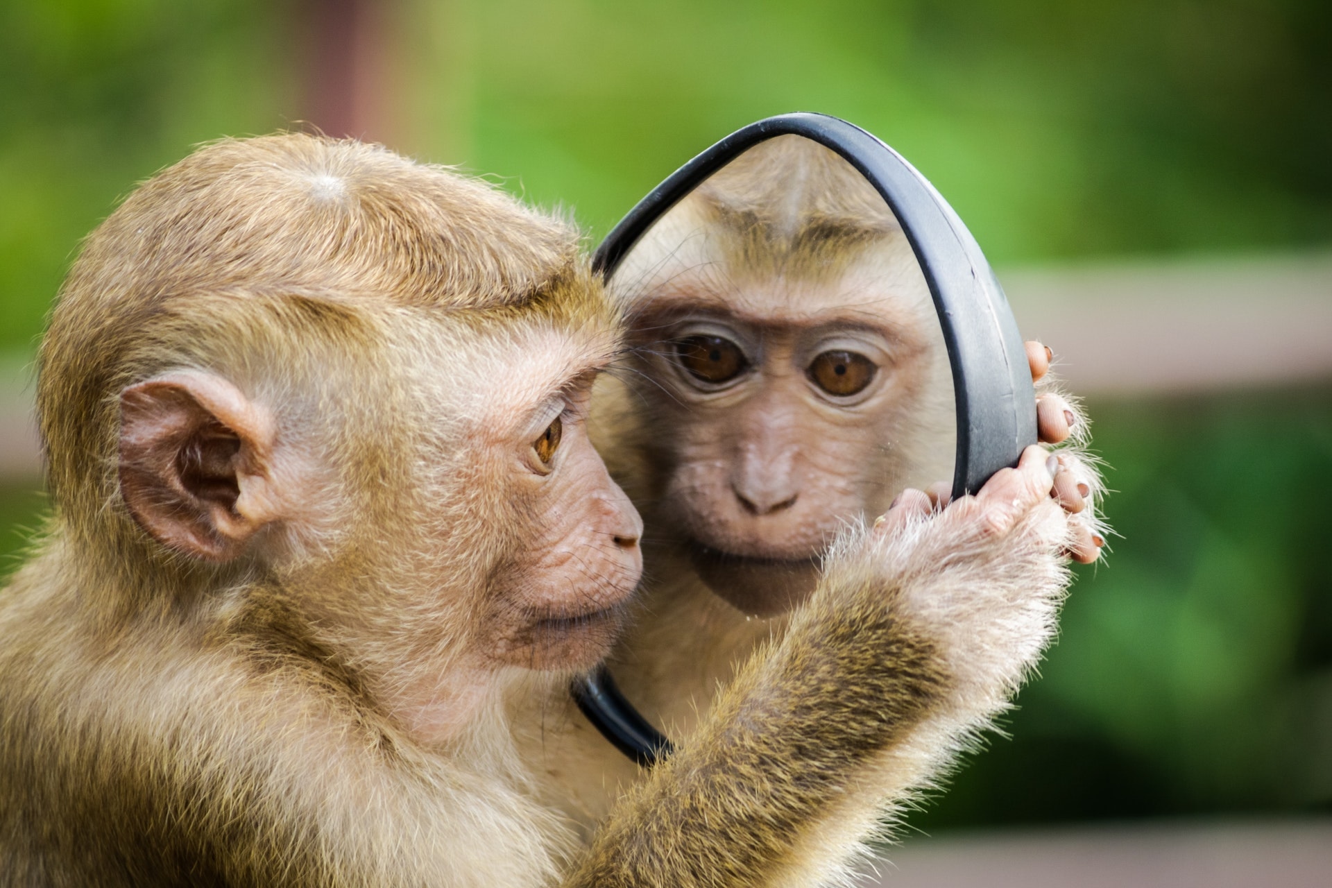 Artificial vision in the spotlight