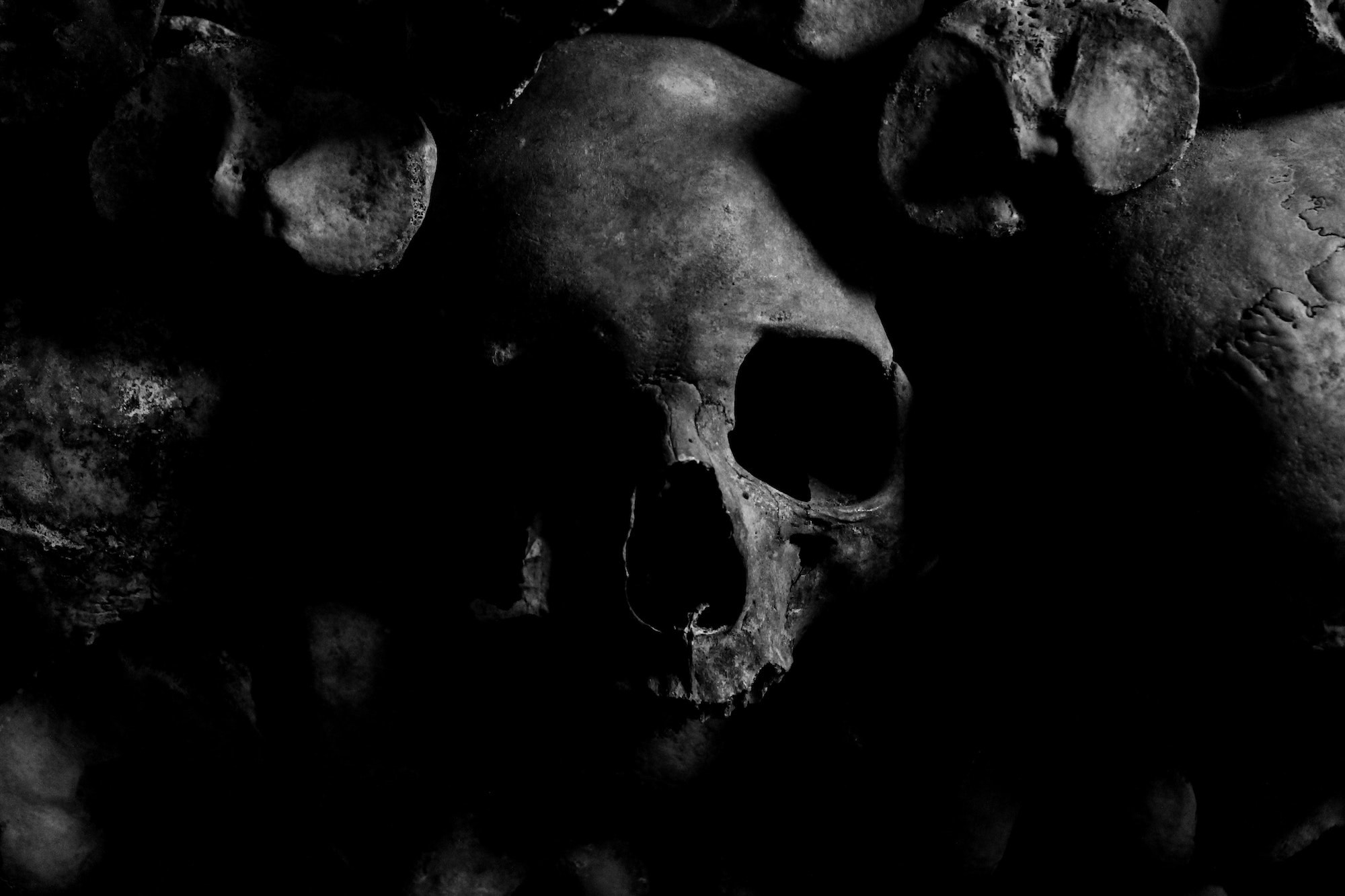 Plagued for millennia: The complex transmission and ecology of prehistoric Yersinia pestis