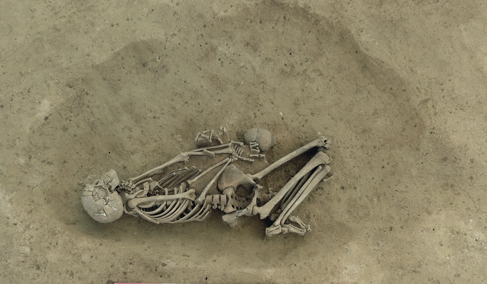 7000 years of the peopling of present-day France revealed by paleogenomics