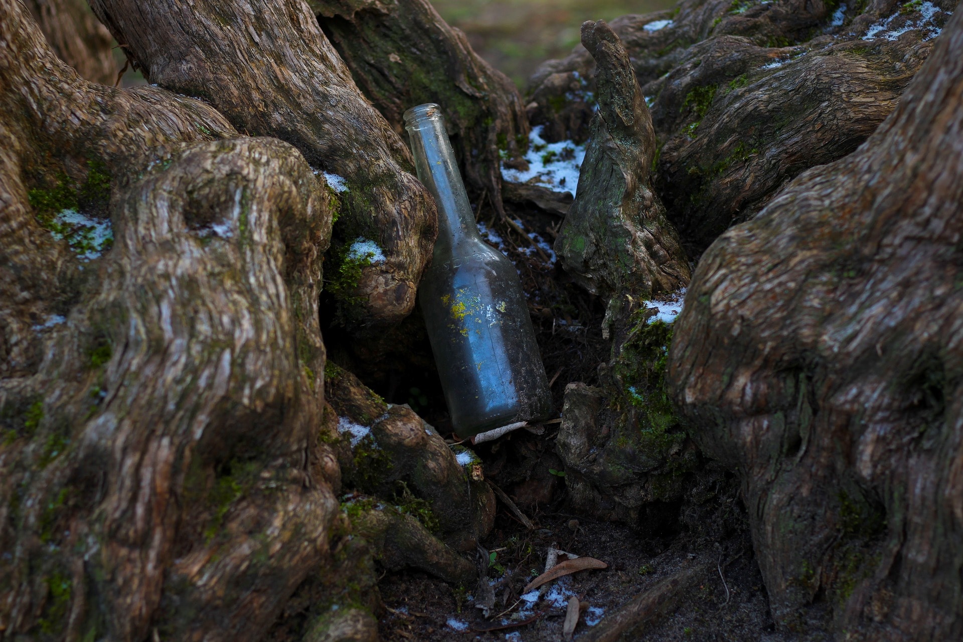 A message in a bottle dating 250 million years ago
