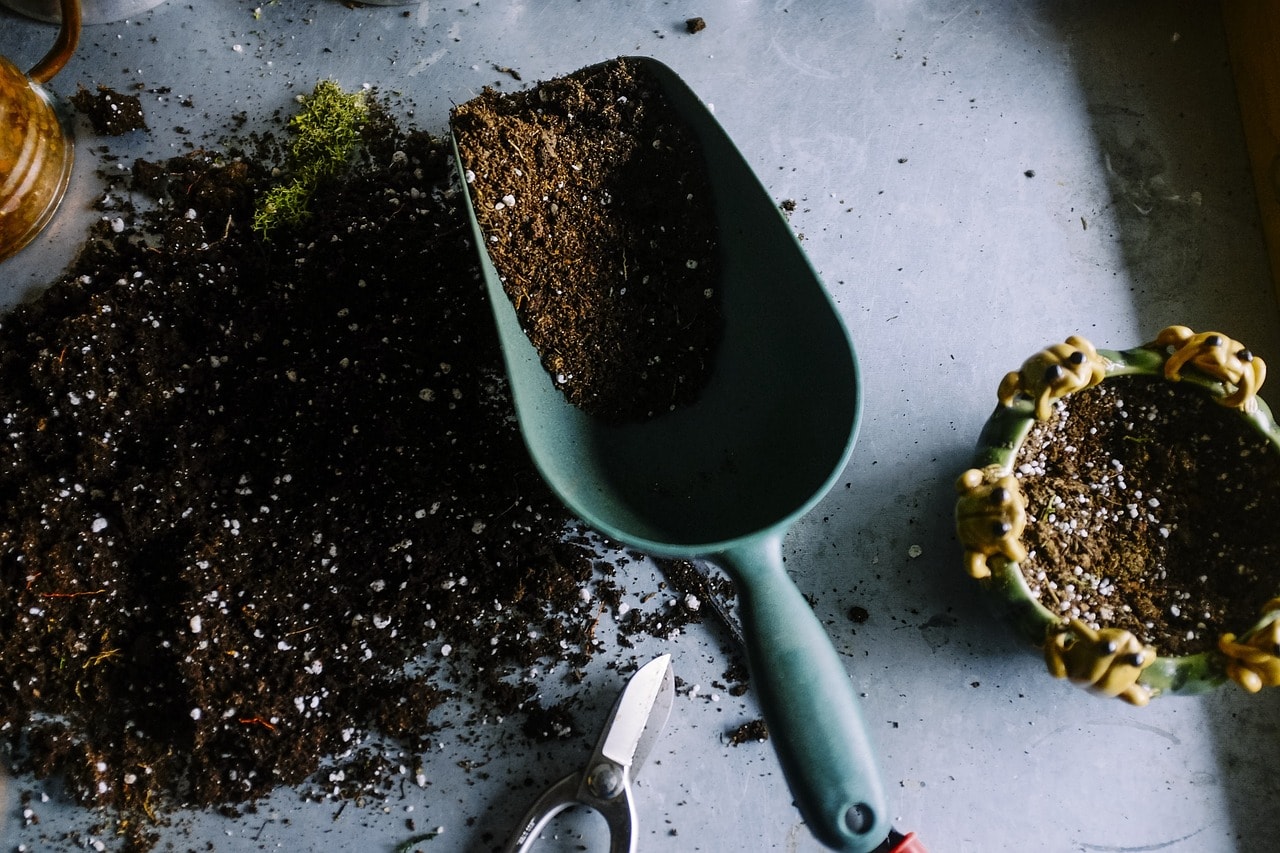 A soil bacterium unmasks a human enzyme
