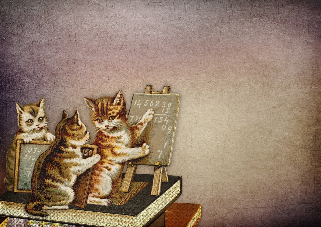 Are students learning as much as they think they are? The dangers of fluent lectures