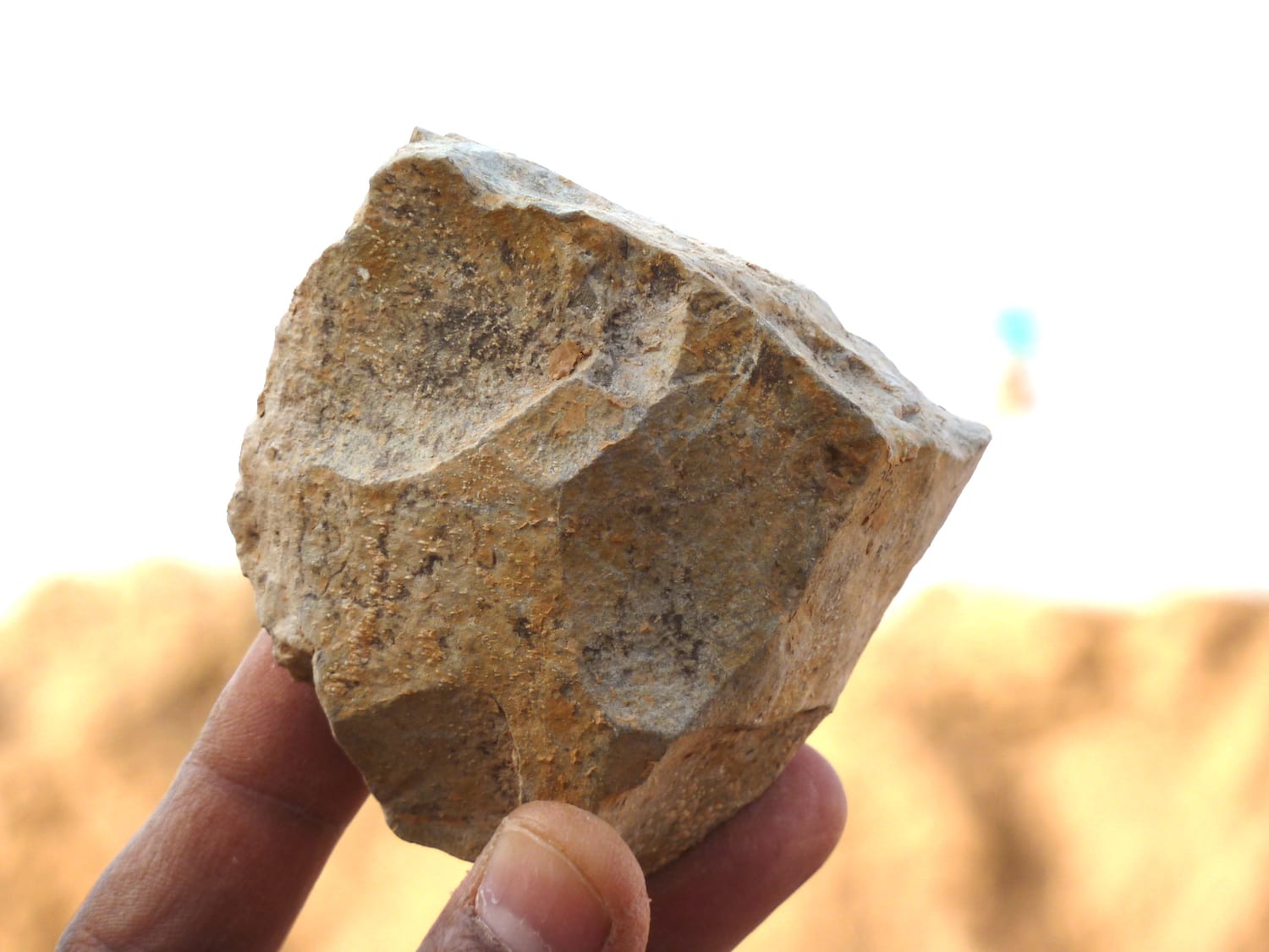 Early humans inhabited North Africa earlier than thought