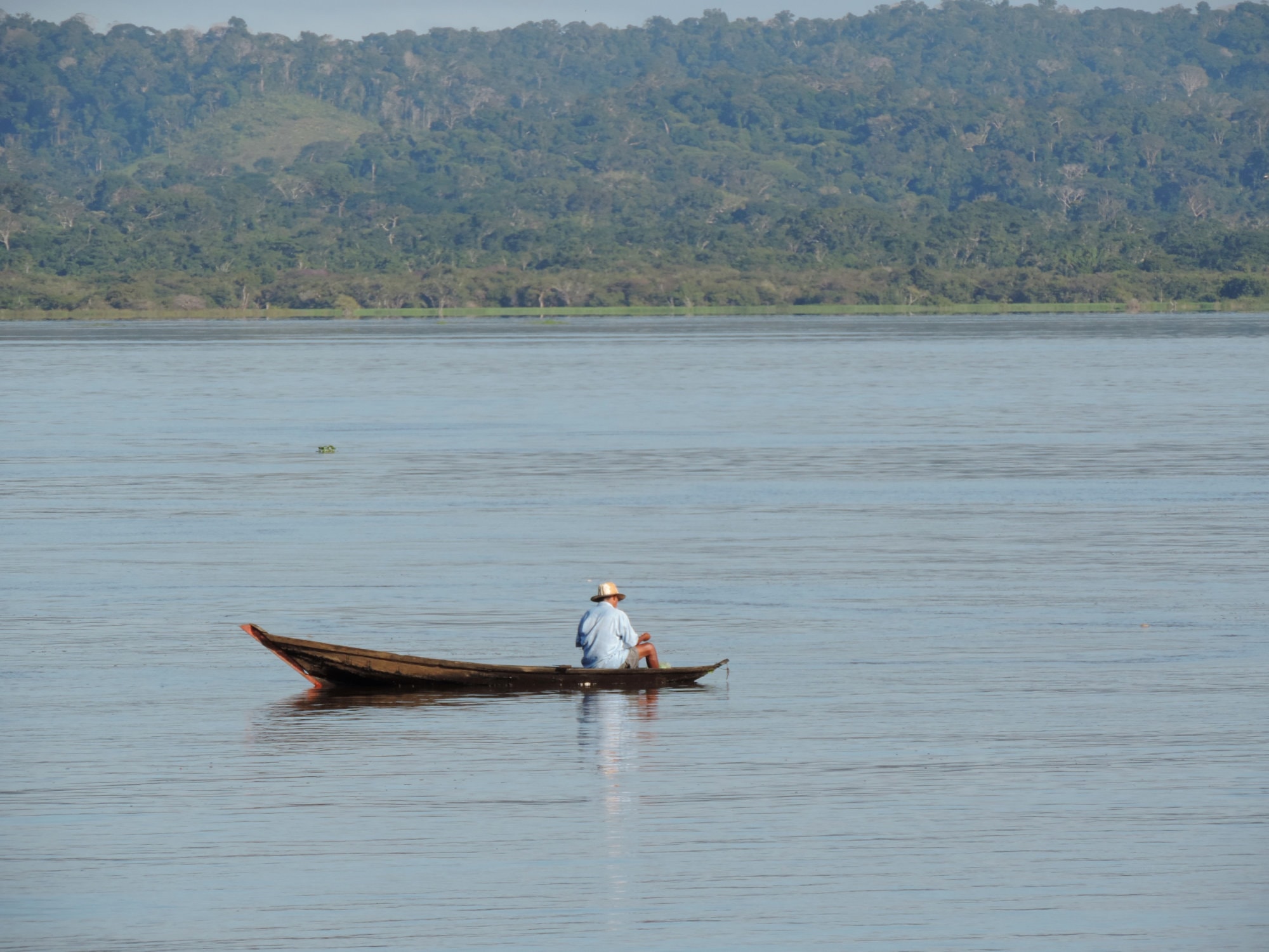 Go with the flow: dams could have a far-reaching impact on fisheries in tropical rivers