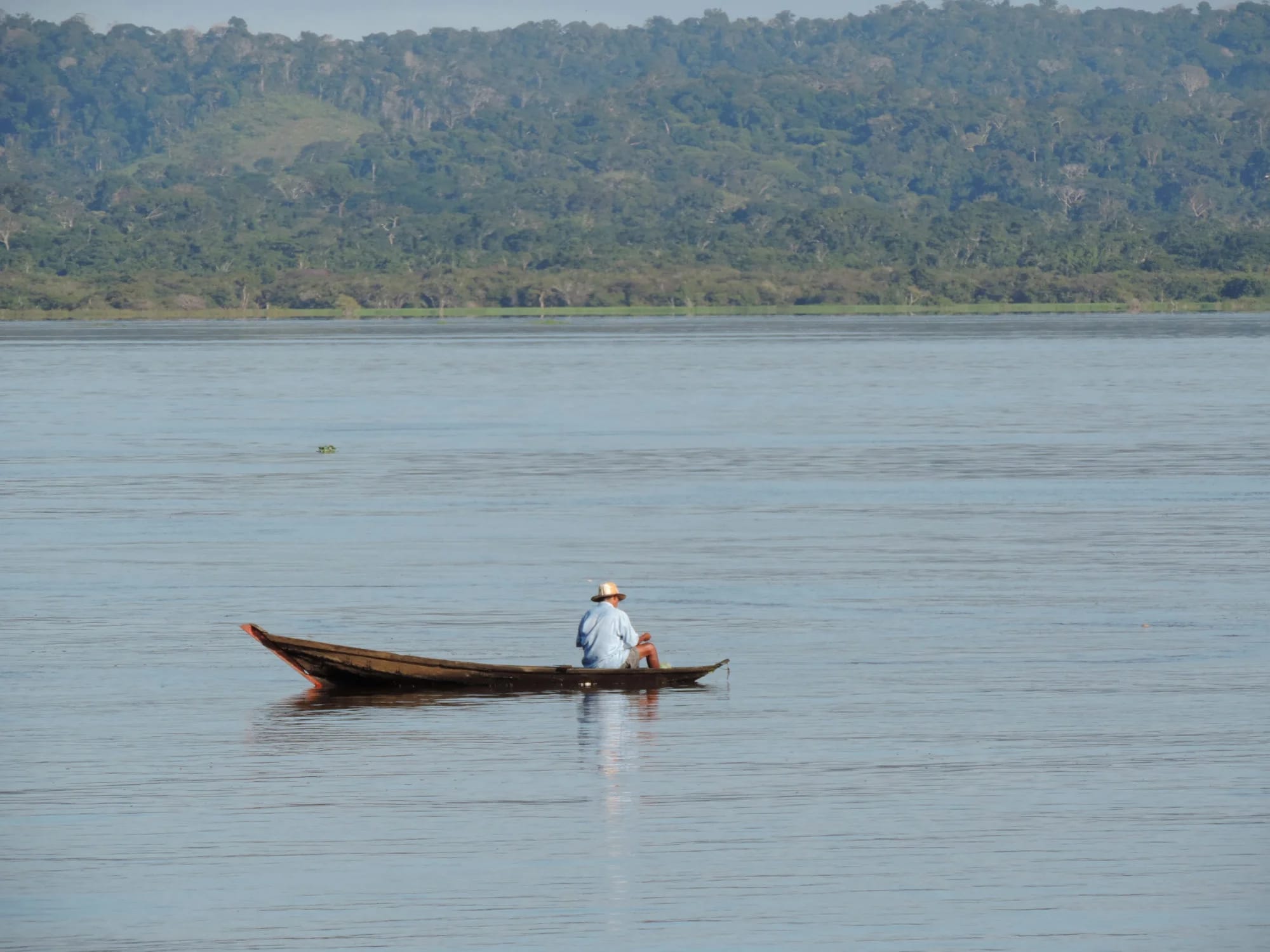 Go with the flow: dams could have a far-reaching impact on fisheries in tropical rivers