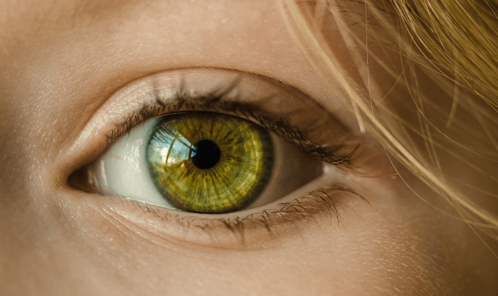 Growing human retinal organoids to understand development of the human eye