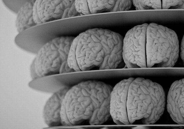 Hacking the tryptophan metabolic process to reduce neurodegeneration