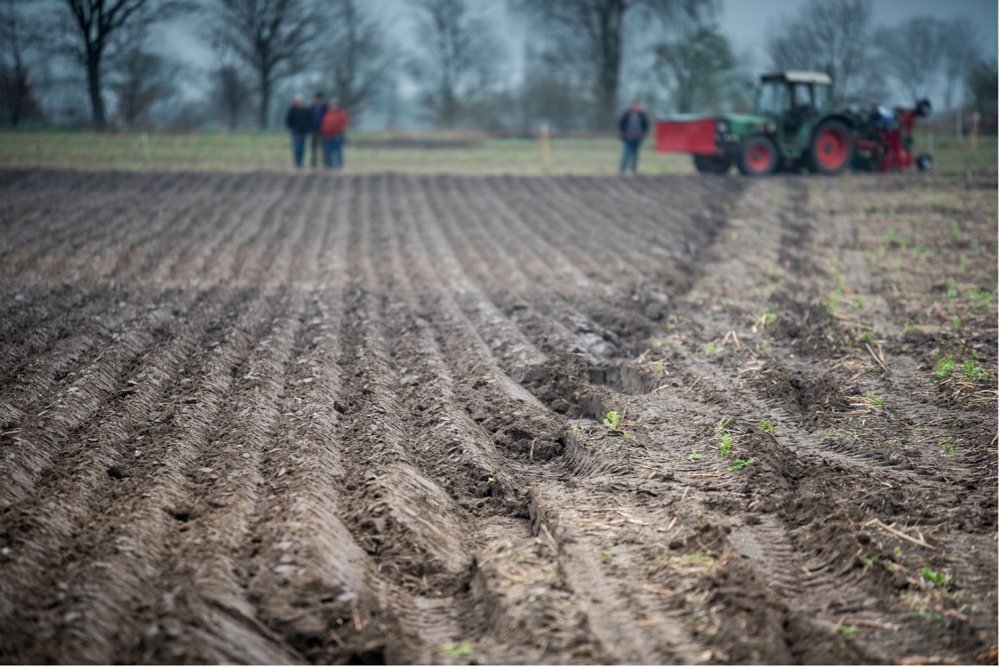 How roots help us fight against hard soils