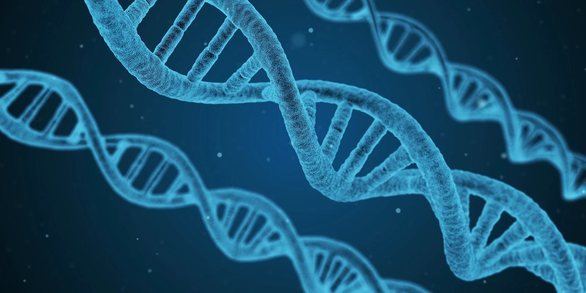 Is evolution predictable?