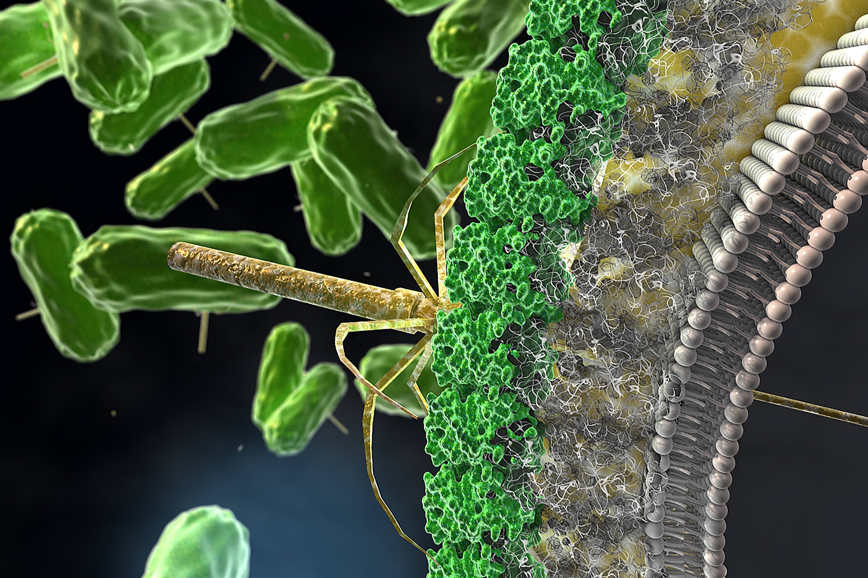 Killing C. difficile with targeted strikes