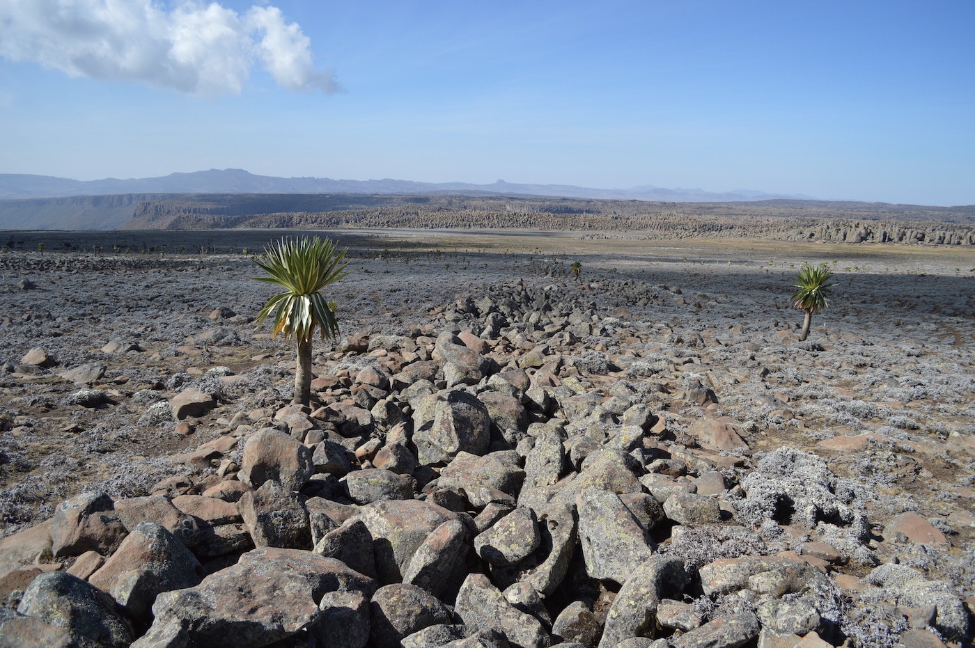 Living the high life: the early arrival of hunter-gatherers in the glaciated Ethiopian Highlands