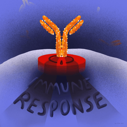 Mild or severe COVID-19? An antibody story
