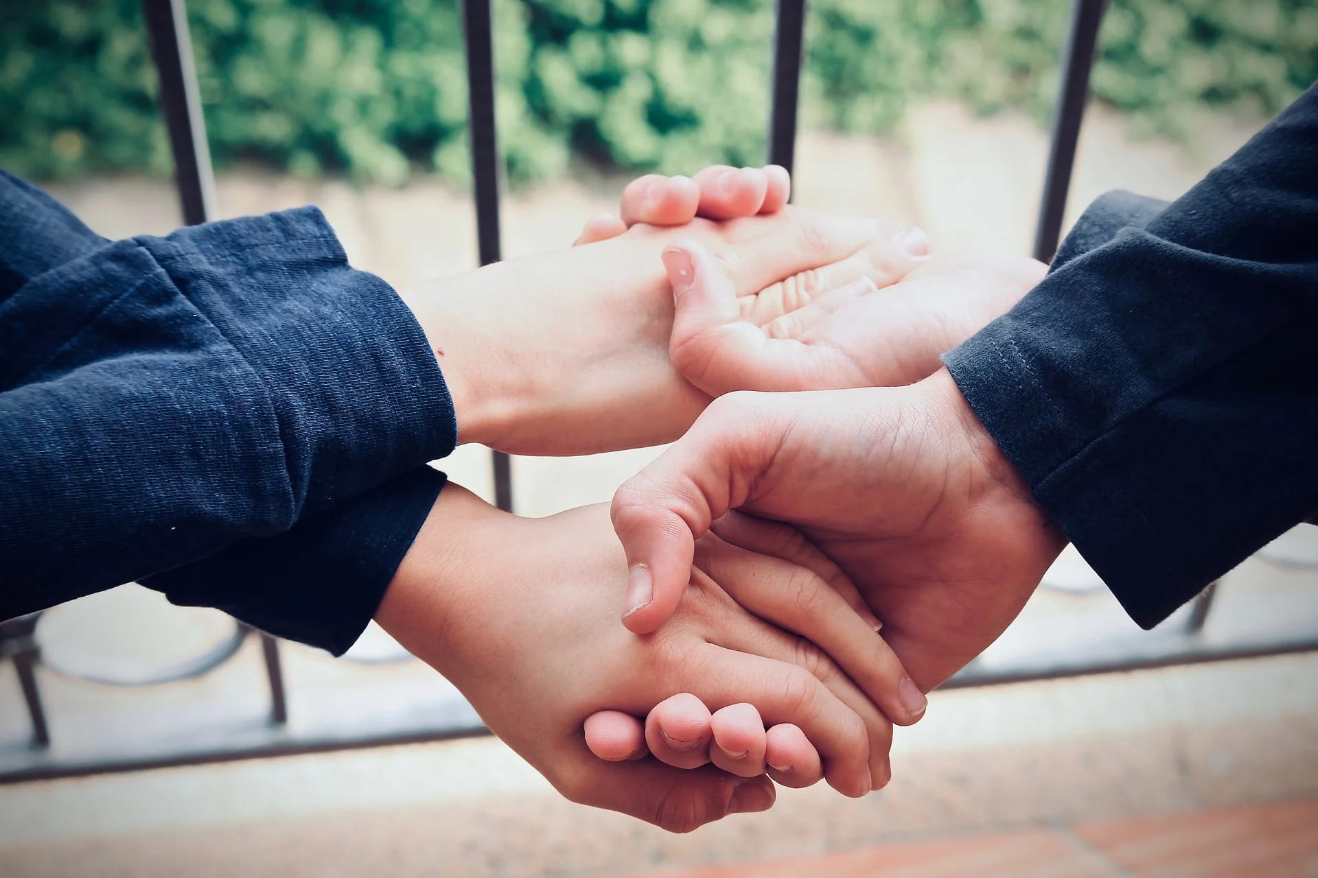 On where altruistic behaviour can be found in our brain