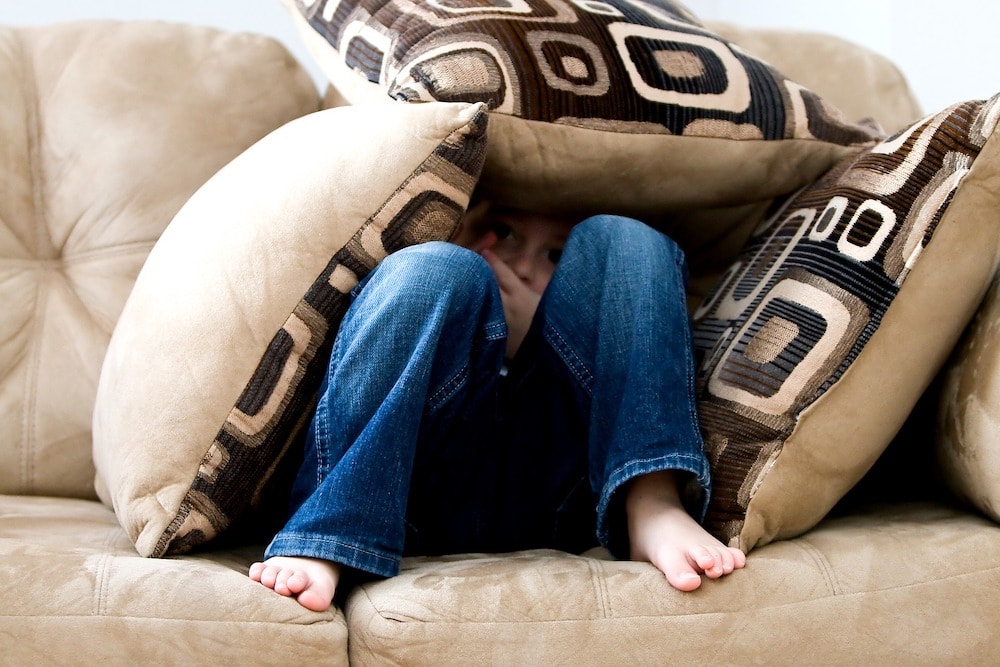 ‘Online’ integration of sensory and fear memories