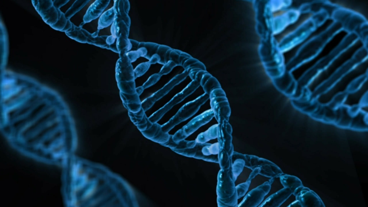 Ouch, that needle hurts! How some viruses inject their DNA