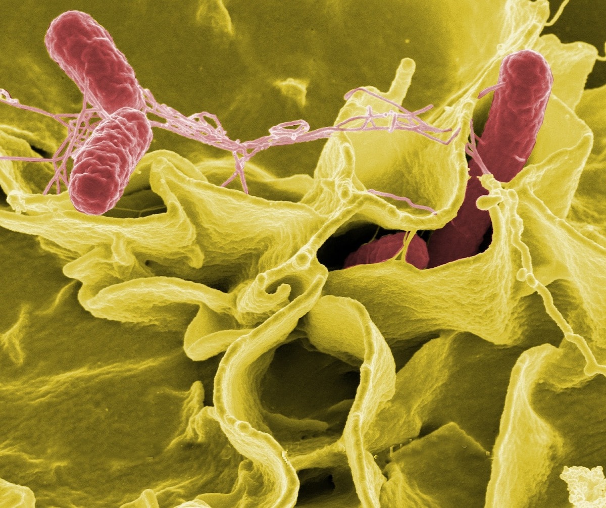 Powering up the emergency response to infections