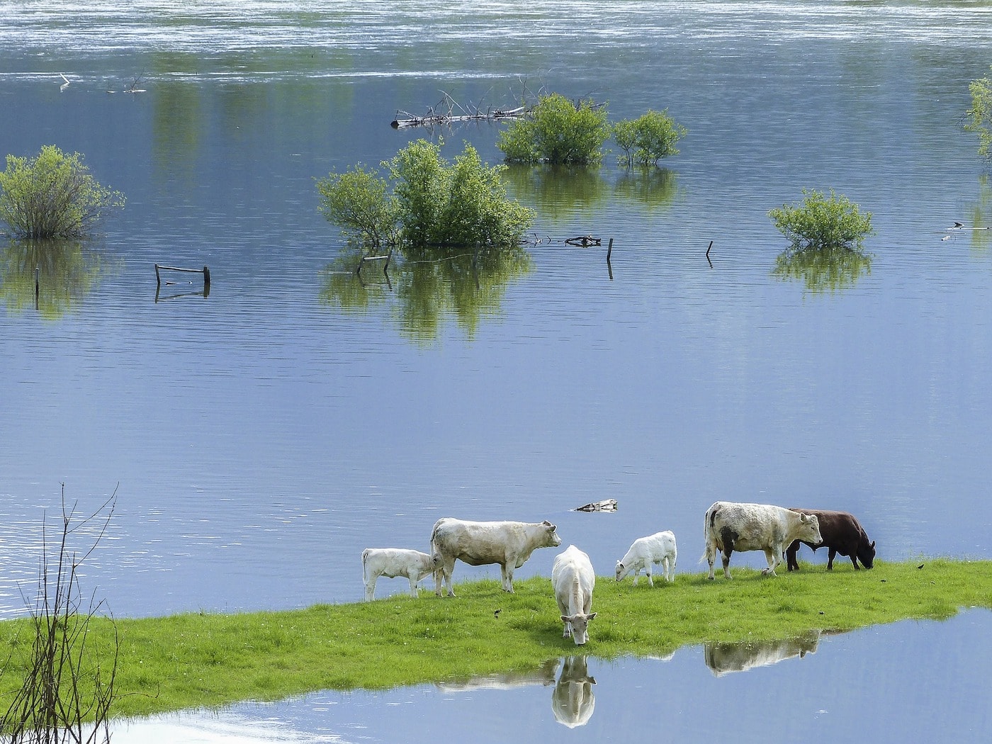 Rainfall is changing: when and where we need to be ready to adapt?
