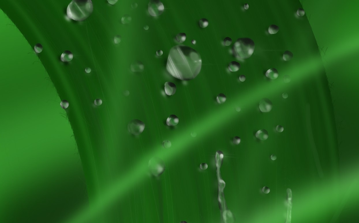 RAINmakers: how receptors orchestrate specific cell functions