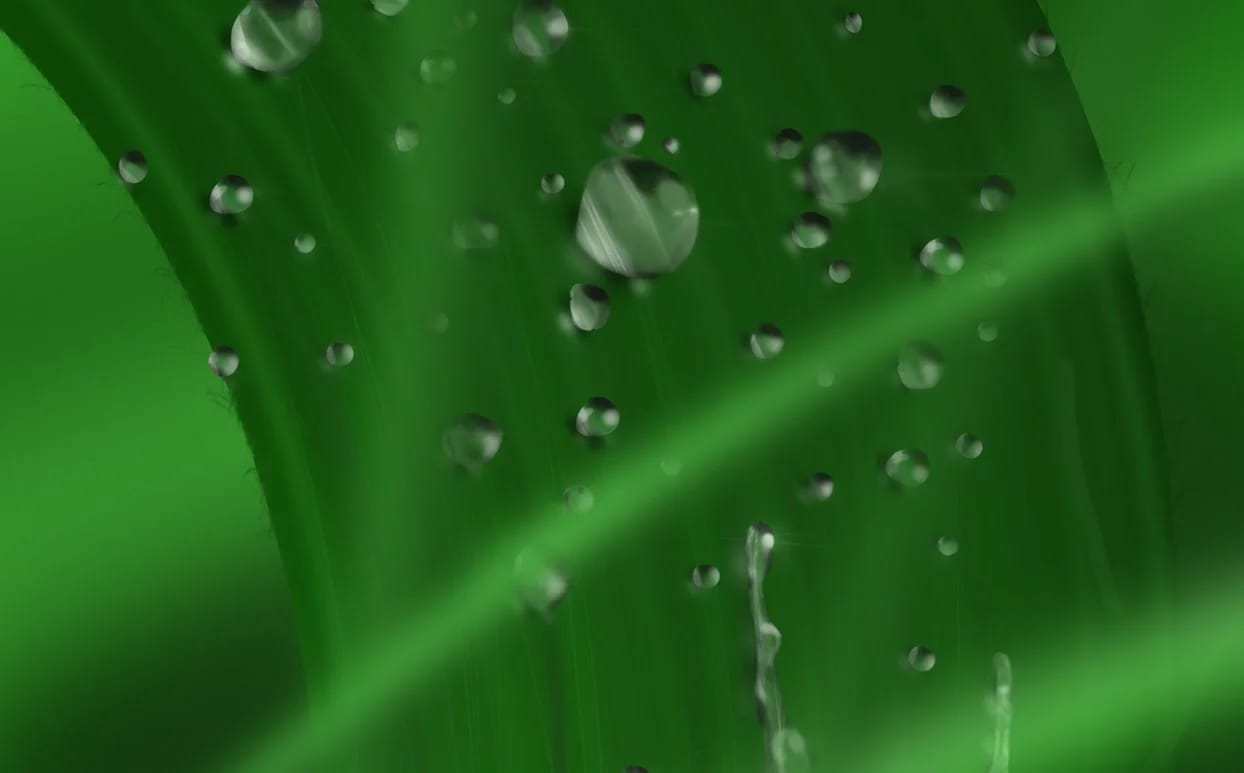 RAINmakers: how receptors orchestrate specific cell functions
