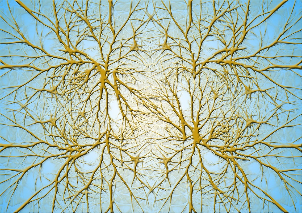 Repurposing of retroviral genes: when foe becomes self