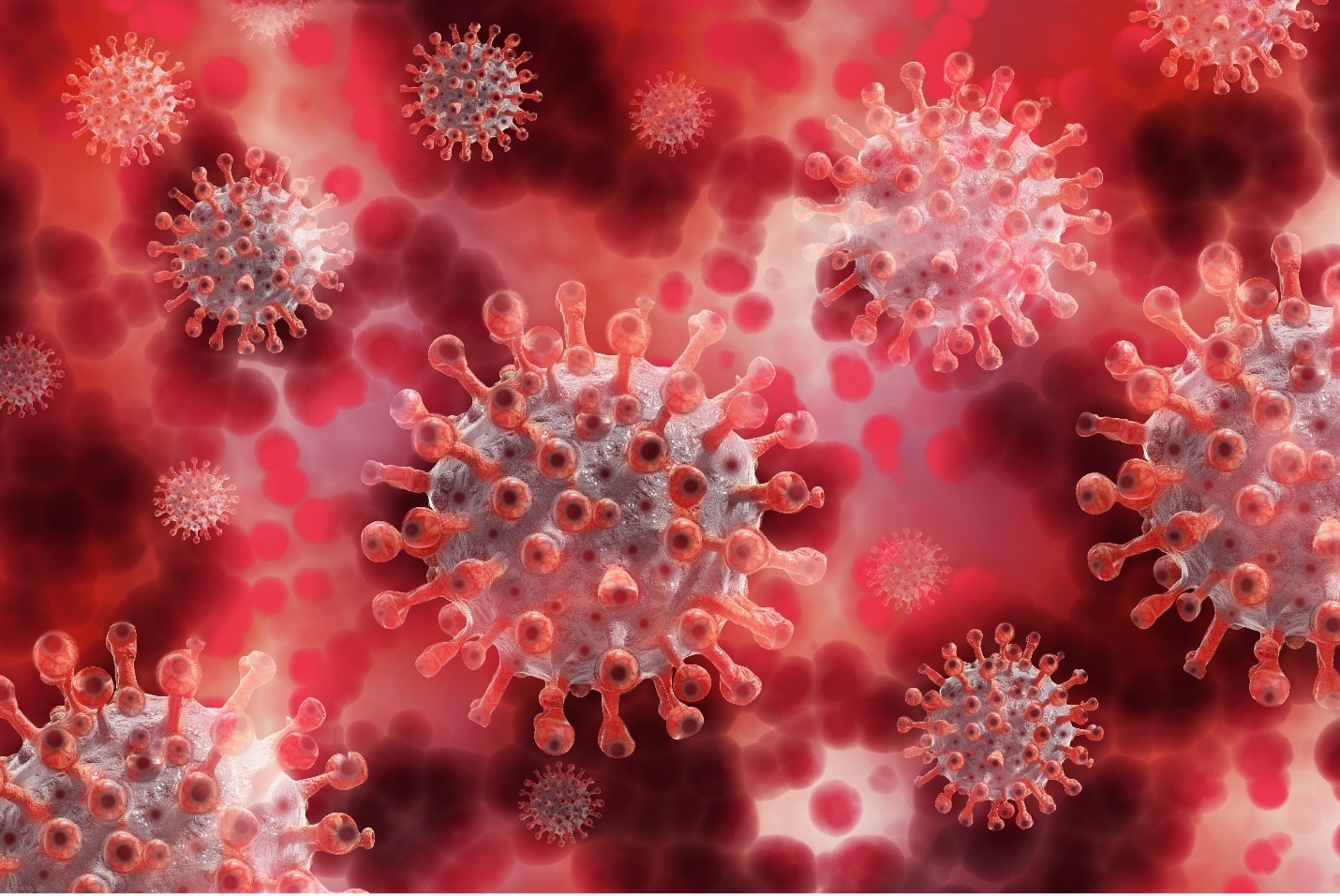SARS-CoV-2 induces a sub-optimal immune response that is permissive for viral evolution