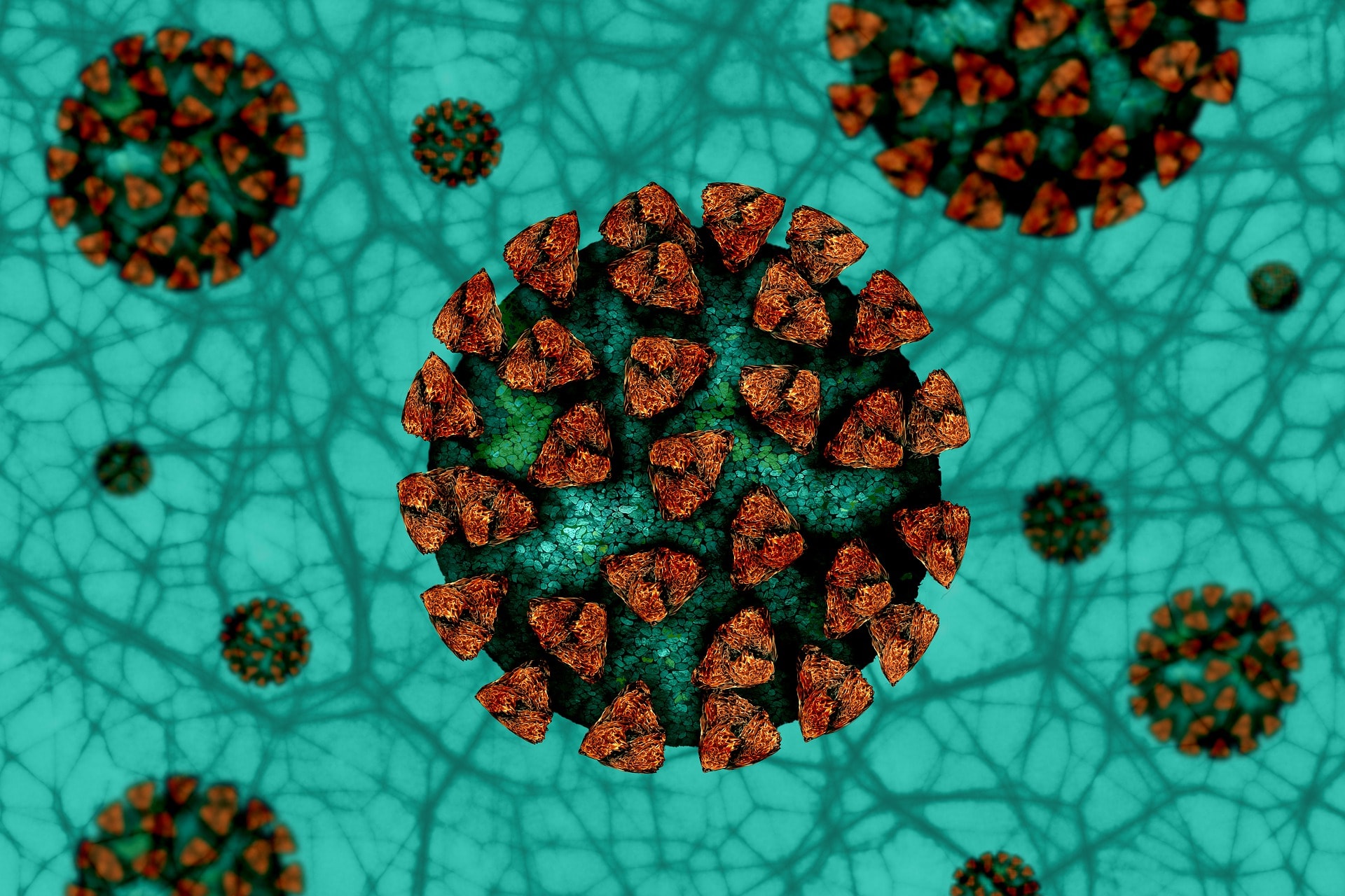 T cells: an essential but neglected component against COVID-19
