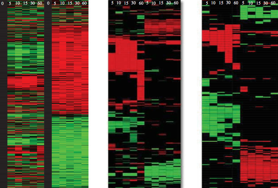 The cutting EDGE: Bringing genomics to everyone