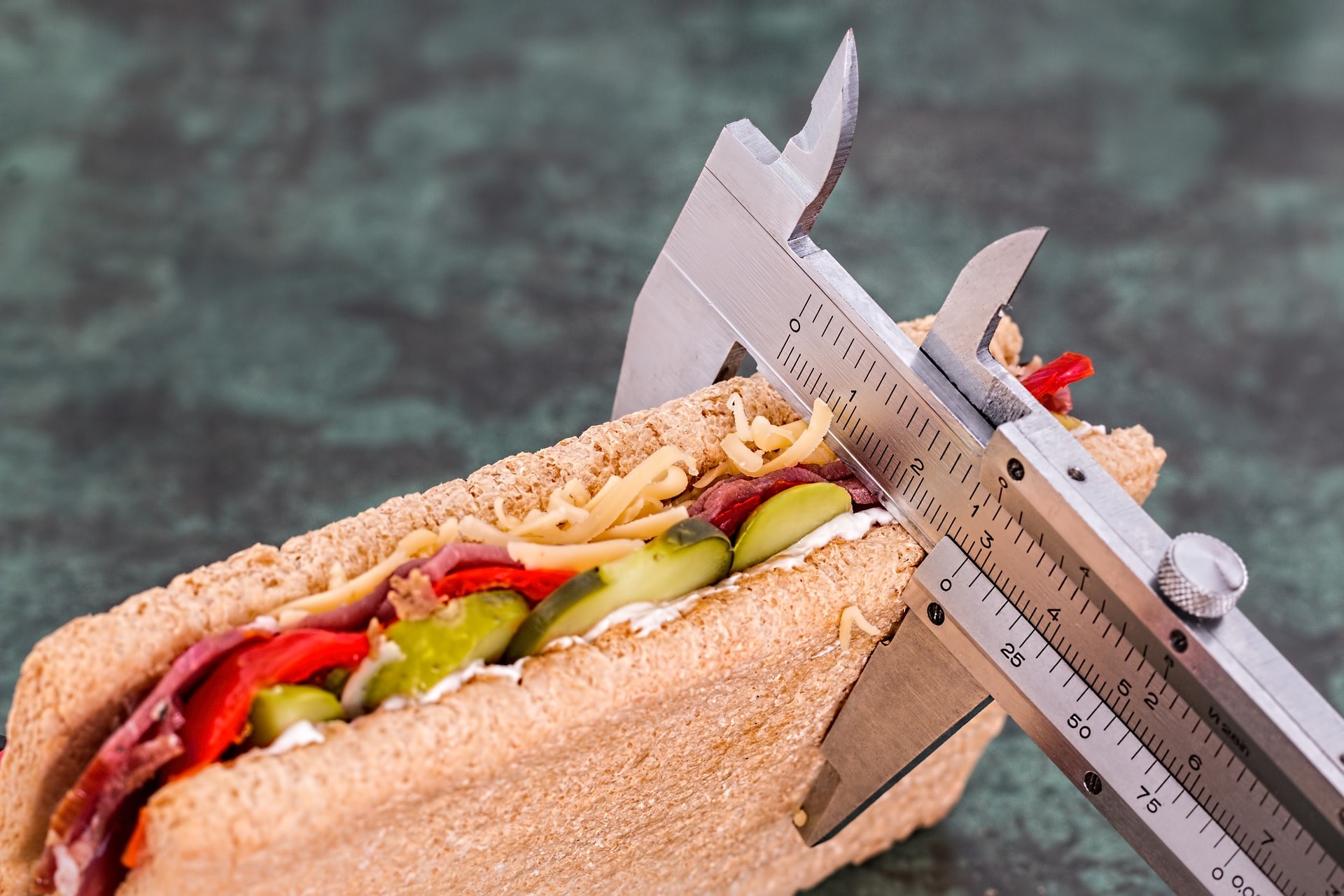The gut microflora helps the effects of dieting