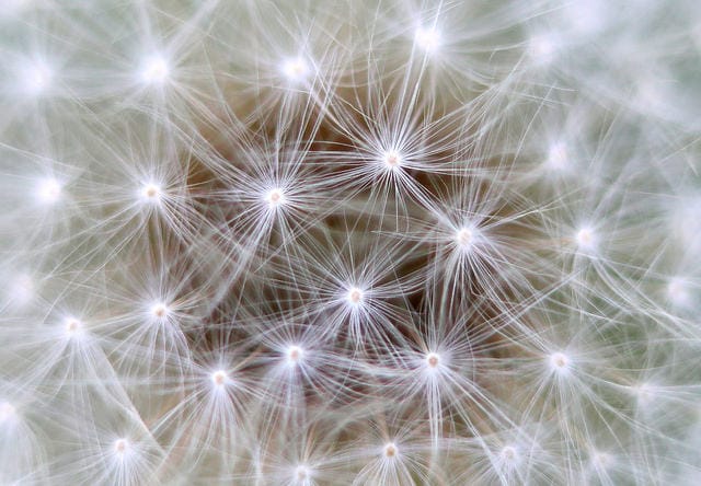 Toxic brain cells are a new target for treating neurodegeneration