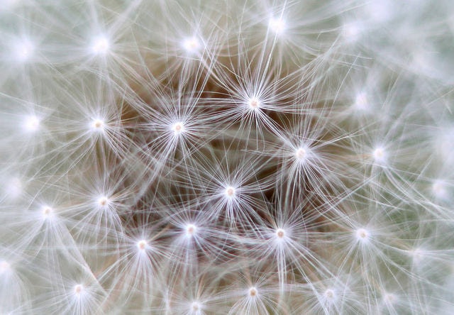 Toxic brain cells are a new target for treating neurodegeneration