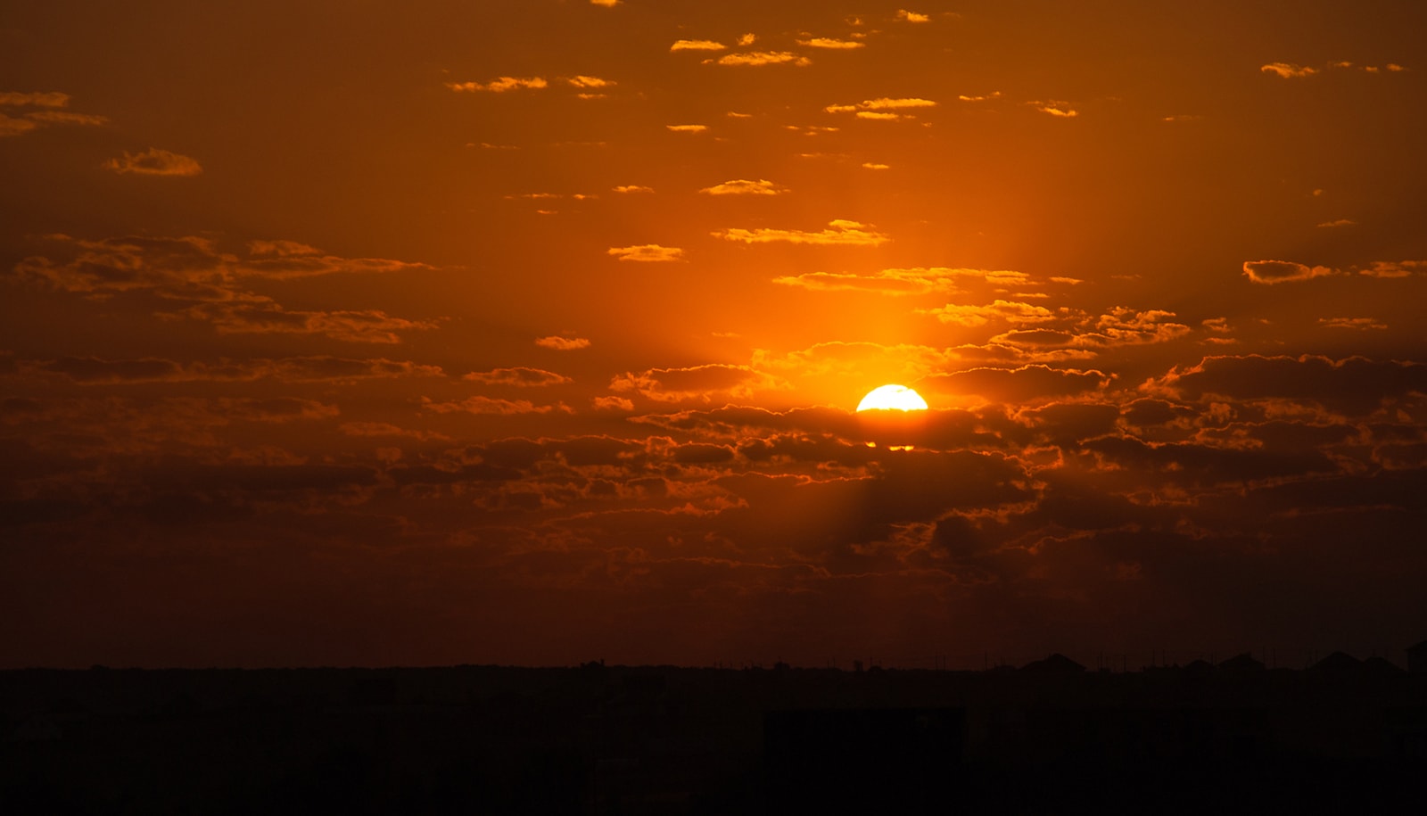 What happens to our genes in the twilight of death?