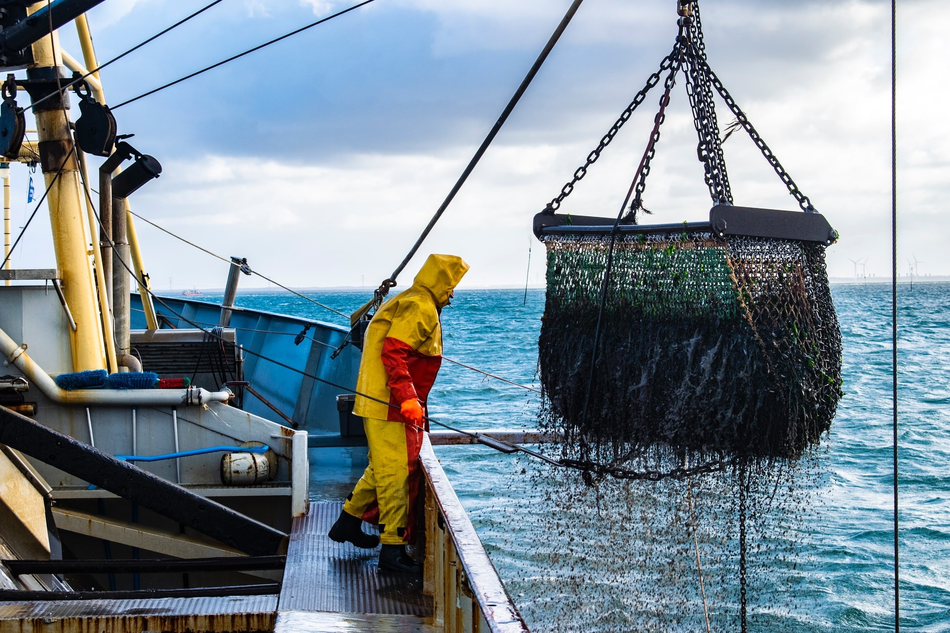 A rapidly changing ocean is alarming for fisheries sustainability