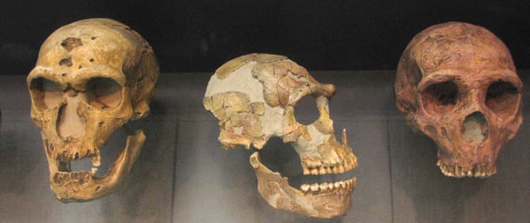An ancient affair: a Neandertal woman and a Denisovan man had a daughter