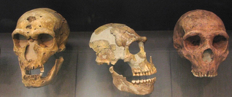 An ancient affair: a Neandertal woman and a Denisovan man had a daughter
