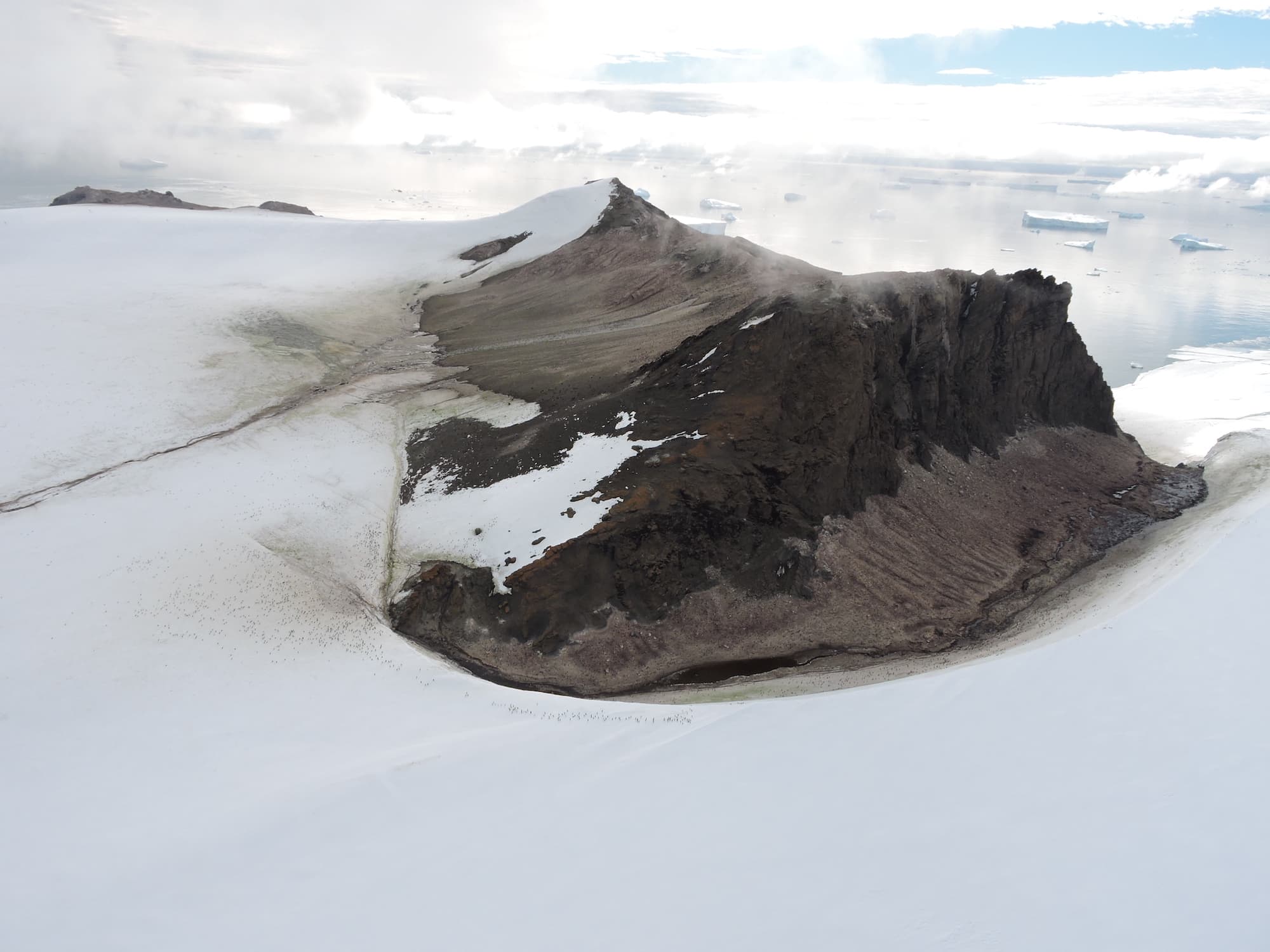 Big changes ahead for Antarctica’s plants and animals