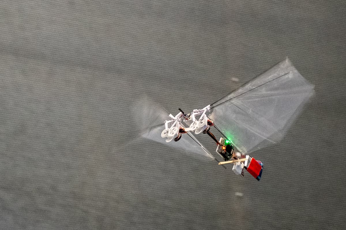 Can robots teach us about animal flight?