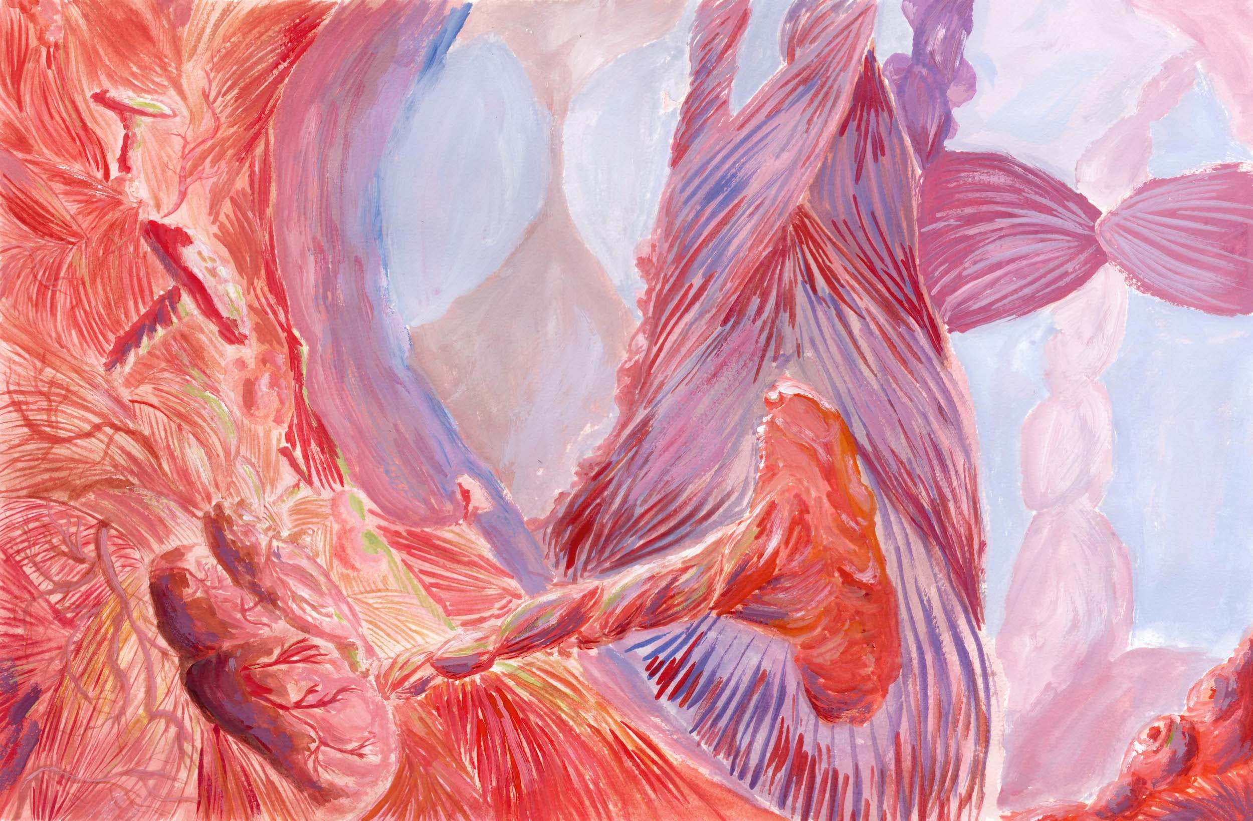 Cellular tornadoes and how they shape our organs