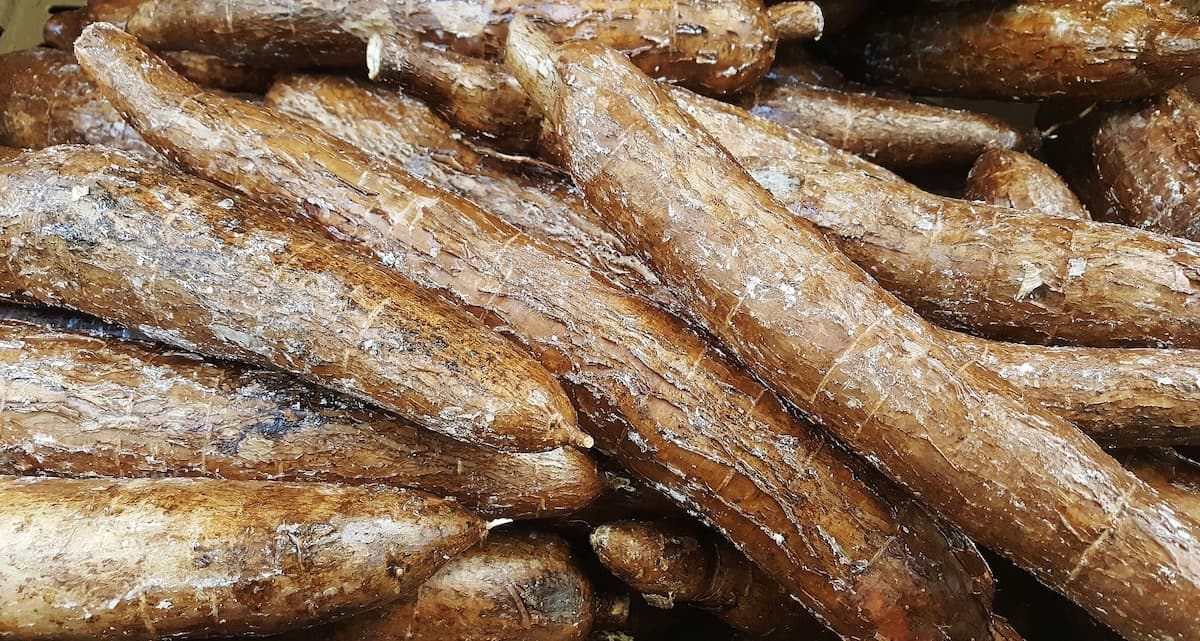 Enhancing cassava for better nutrition in every bite