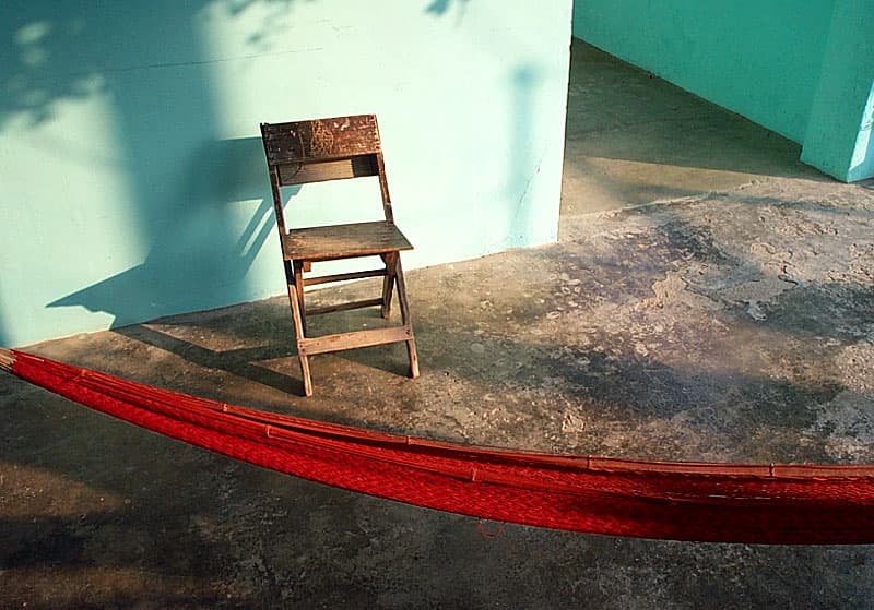 Lab-life: the afternoon siesta of the fruit fly