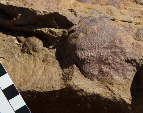 Life’s early dinner parties