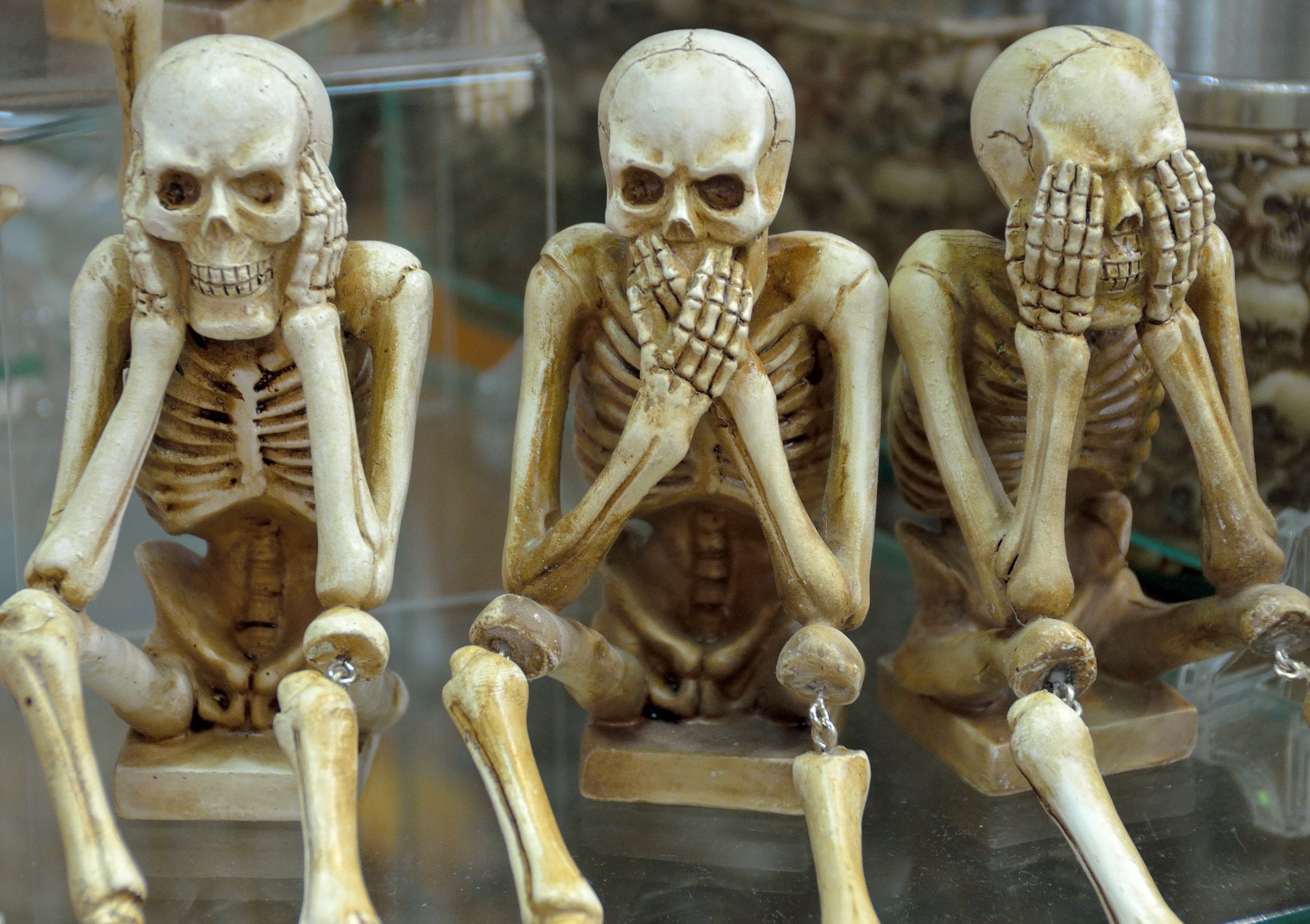 Our bones: strength, flexibility and…fractals!