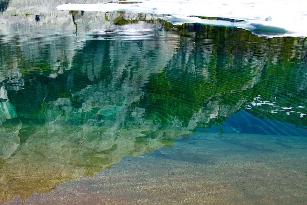 Probing the evolution of photosynthetic life on the early Earth