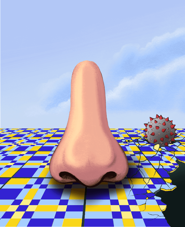 Solving the puzzle behind COVID-19 induced smell loss