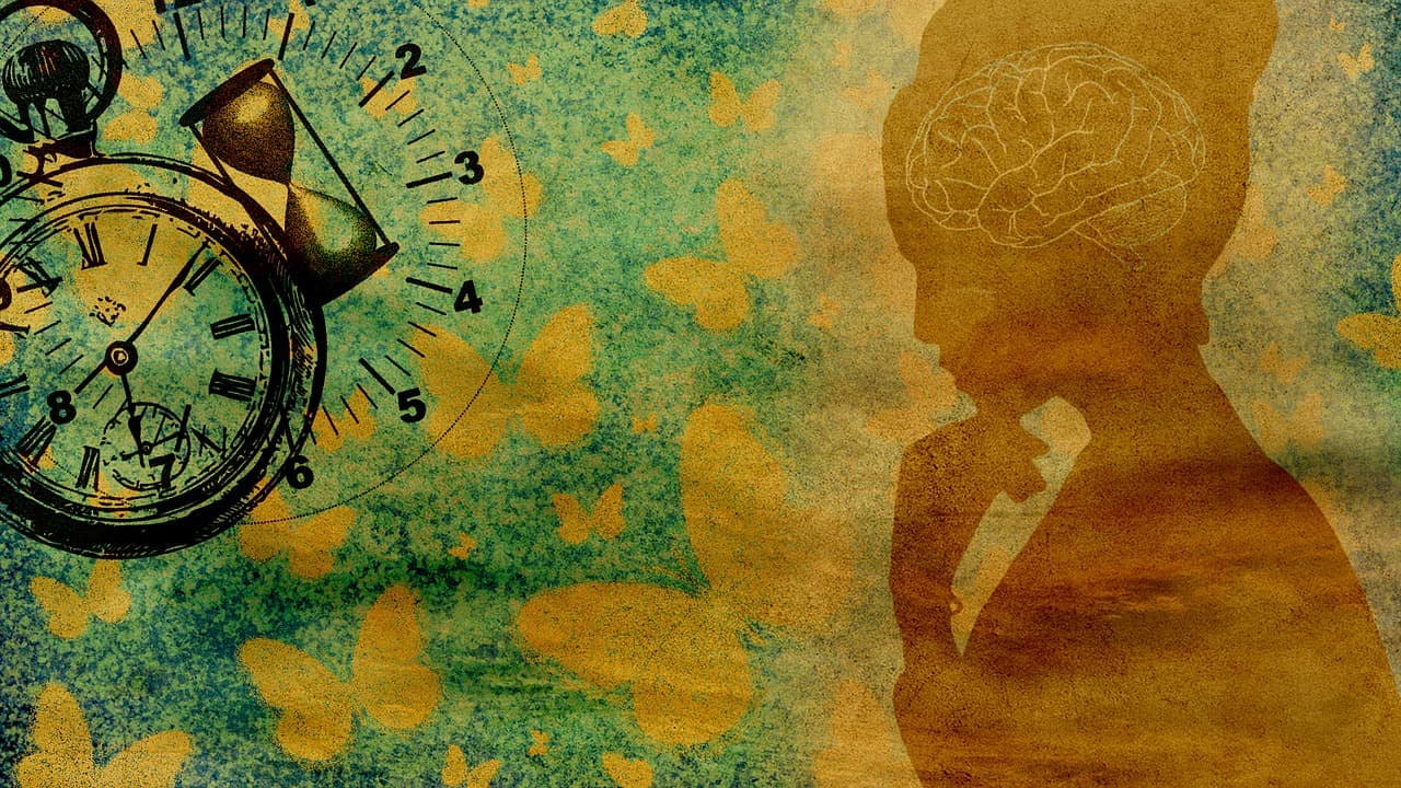 Stop all the clocks: the hidden long-term consequences of sleep loss