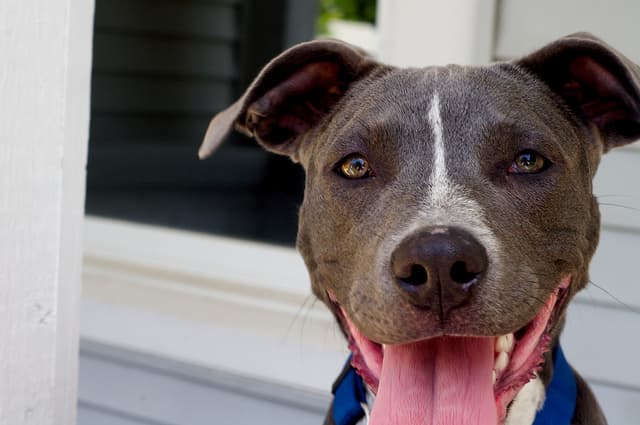 Survival of the friendliest