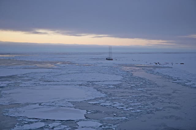 Tara Oceans Expedition sequences the ocean