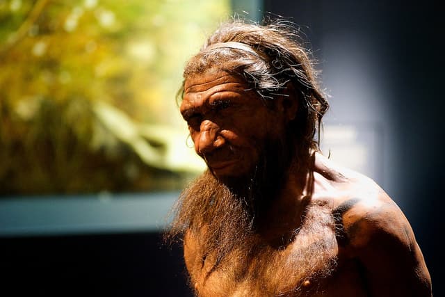 The daily life of Neandertals