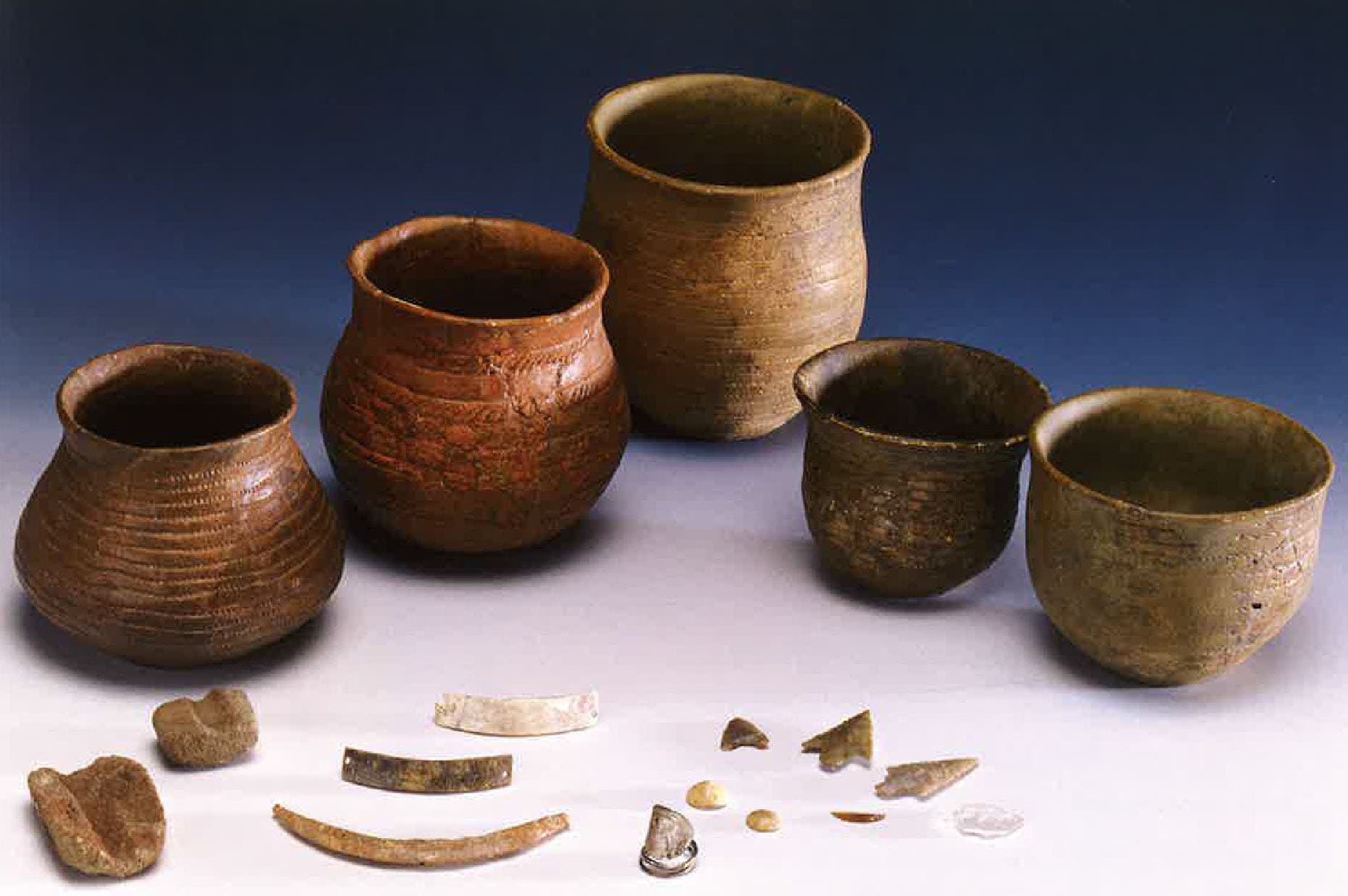 The European idea, a 5000 years old concept according to the Bell Beaker culture